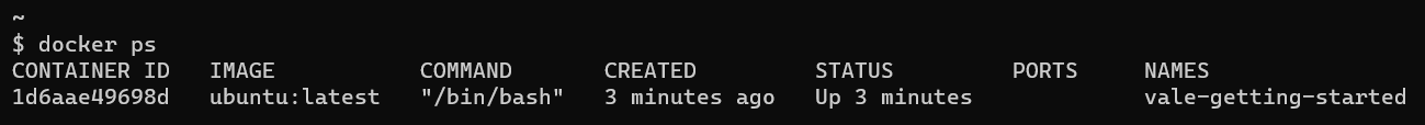 The terminal response to the `docker ps` command, showing the running container named vale-getting-started
